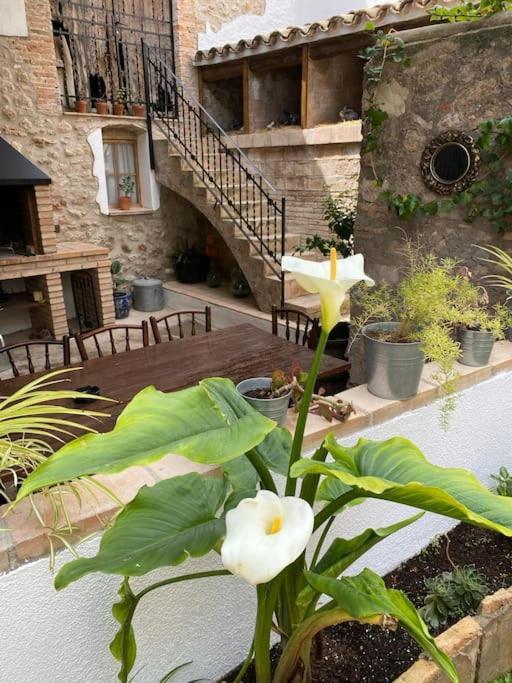 Ca La Trini - Turisme Rural Villa Torrellas de Foix Exterior photo